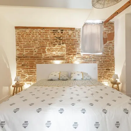 Elegant Appartement Avec Balneo A 100M Du Capitole Toulouse Exterior foto