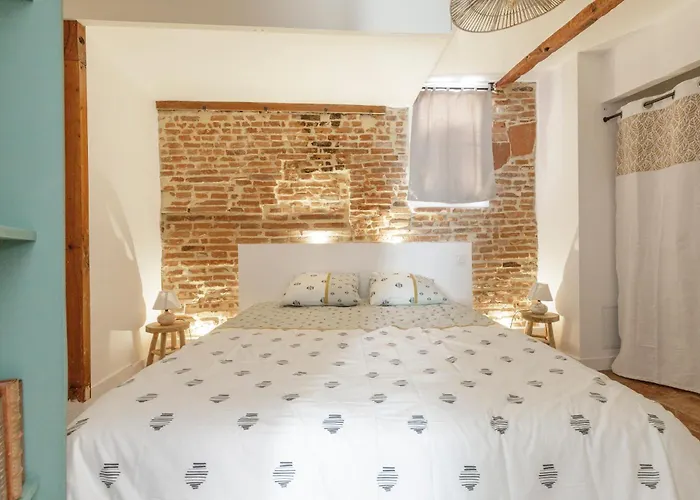 Elegant Appartement Avec Balneo A 100M Du Capitole